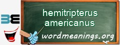 WordMeaning blackboard for hemitripterus americanus